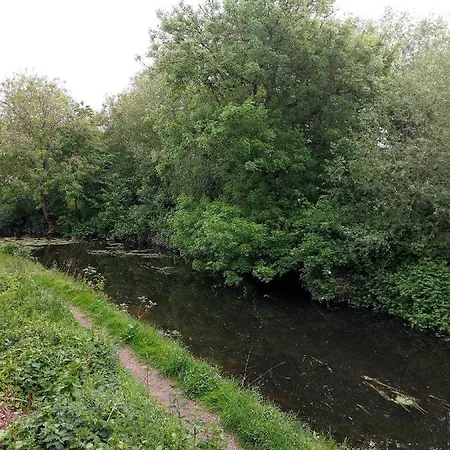 Riverside Kwatera prywatna York